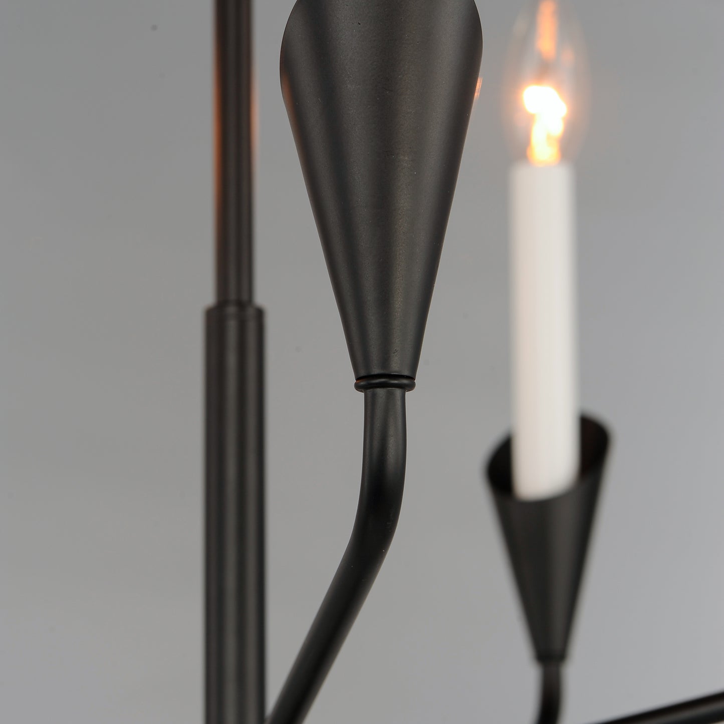 Calyx 5-Light Chandelier Black by Maxim Lighting