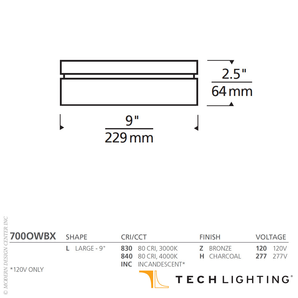 Boxie Large LED Outdoor Wall Ceiling by Visual & Comfort & Co