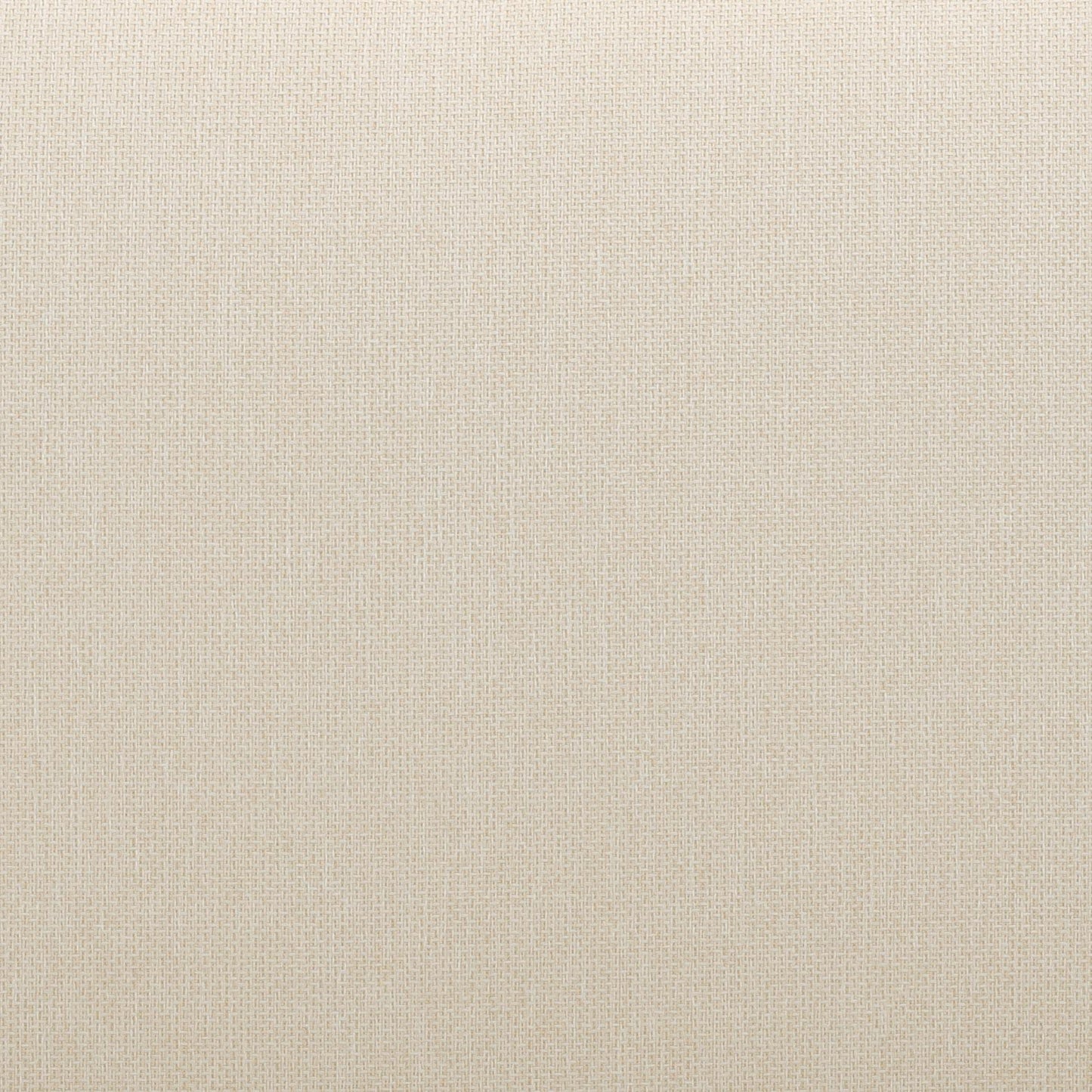 Reavan 67 Cream Outdoor Lounge Sofa by TOV O54456