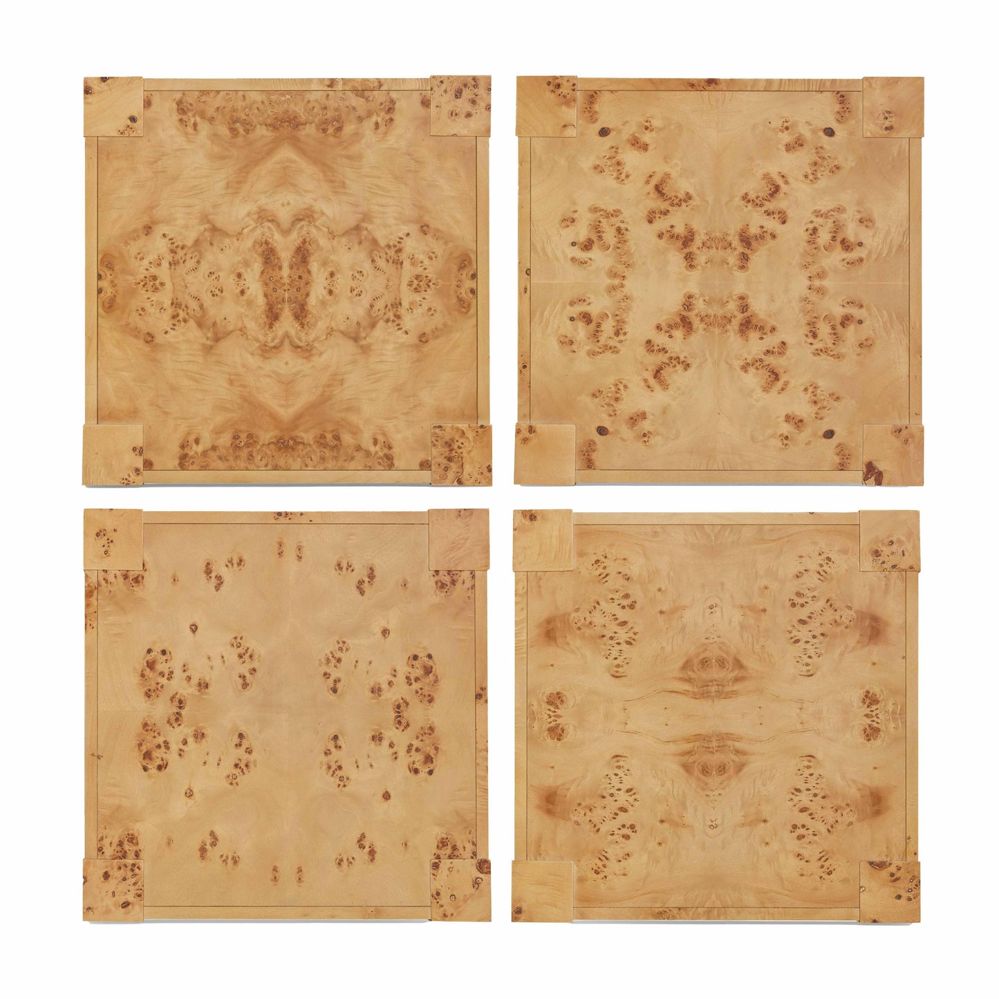 Brandyss Burl End Table by TOV Oc54191