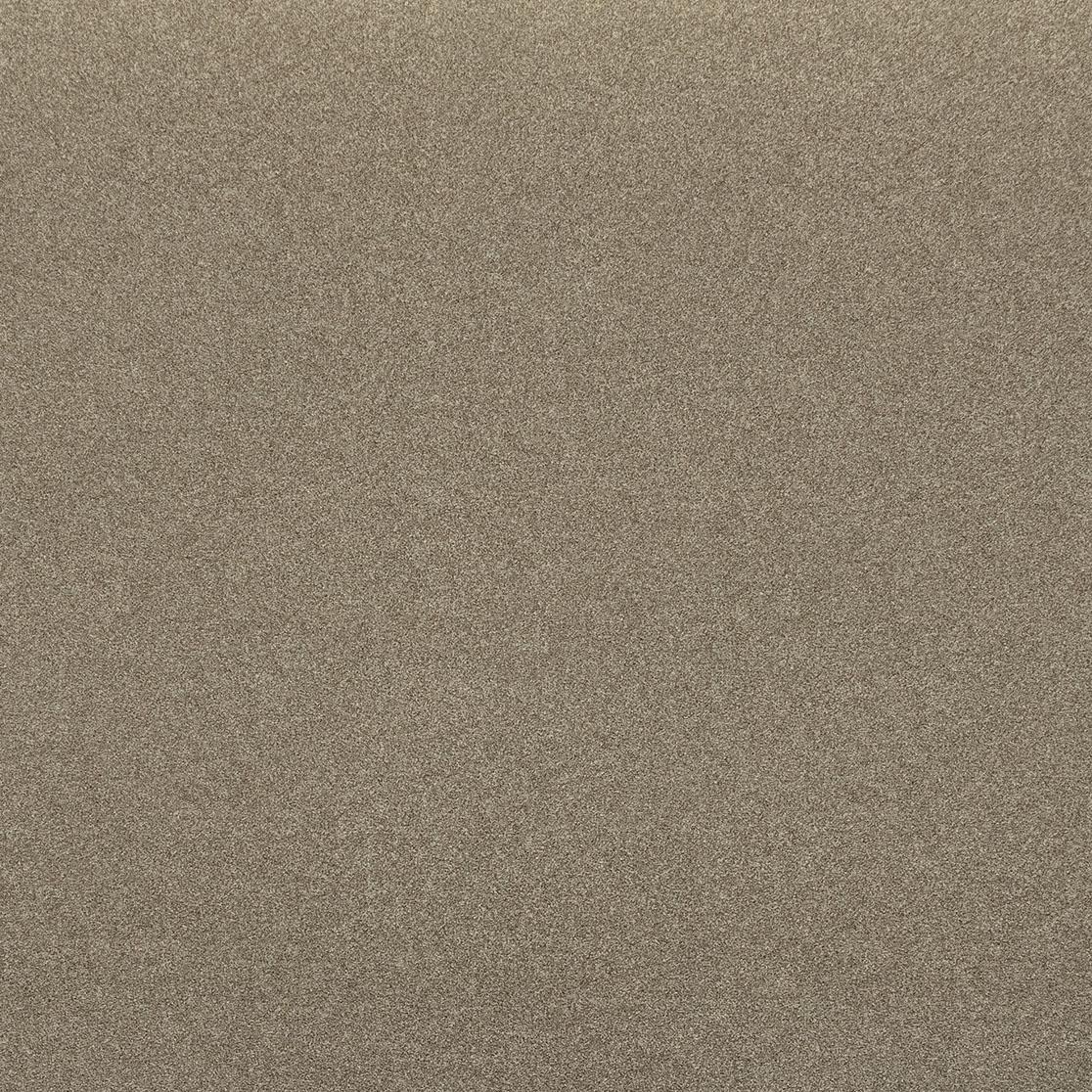 Graceland 54" Performance Faux Mohair Bench Taupe by Tov Furniture
