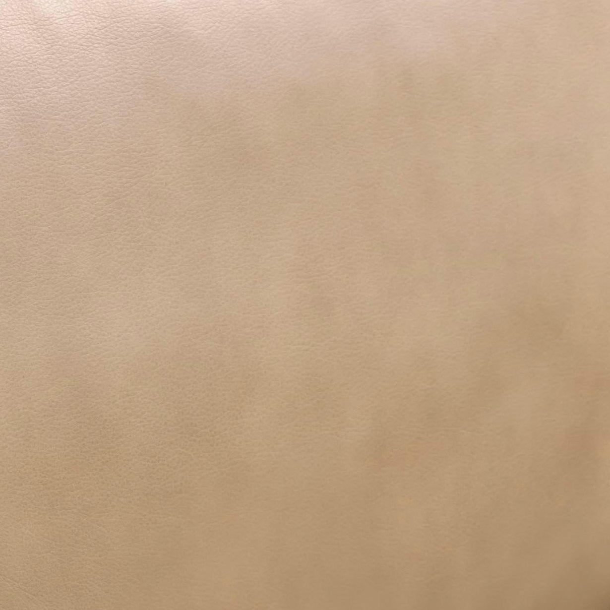 Chakka Contract-Grade Genuine Leather Accent Chair Tan by Tov Furniture
