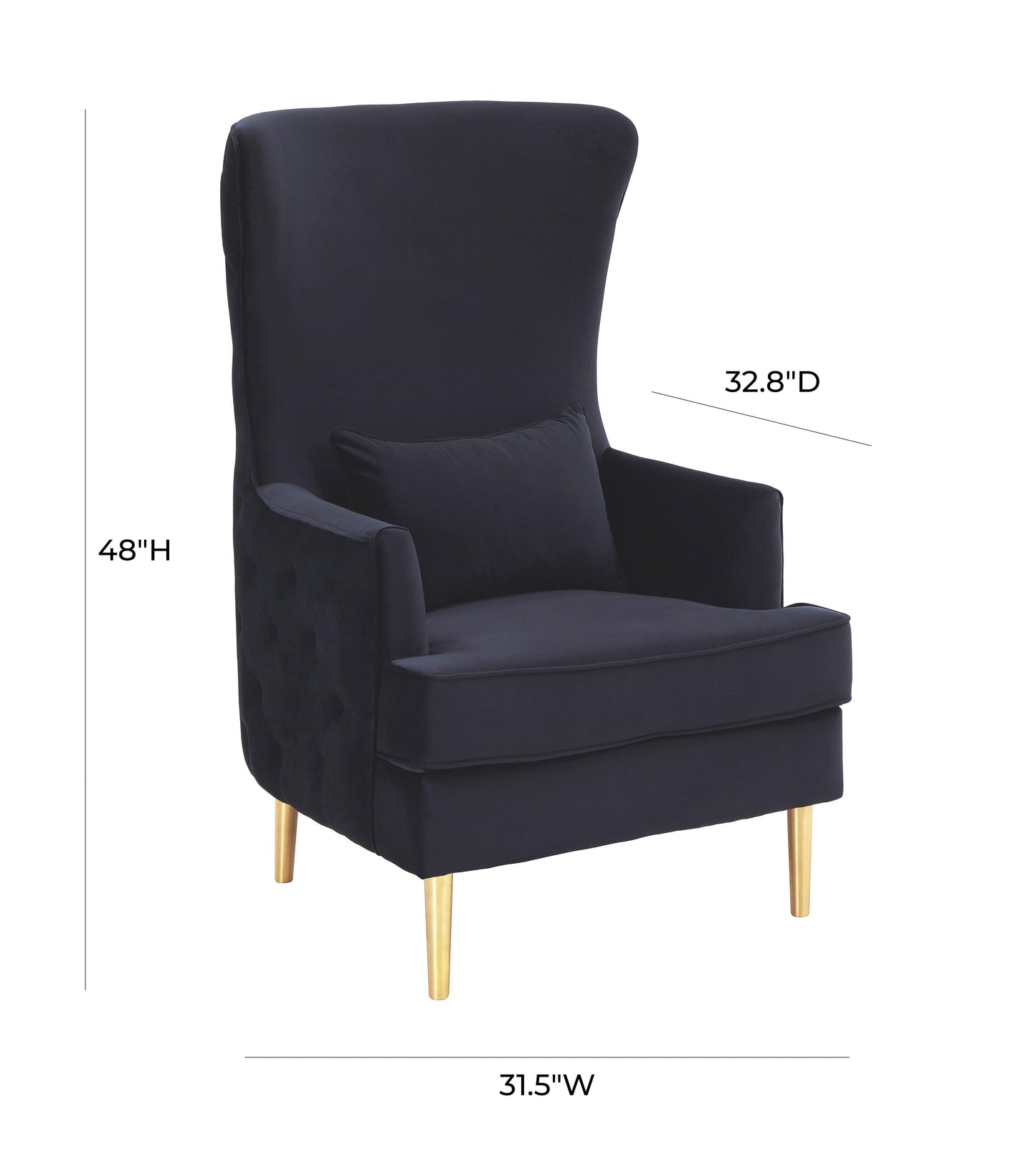 Alina Performance Velvet Tall Tufted Back Chair Black by Tov Furniture