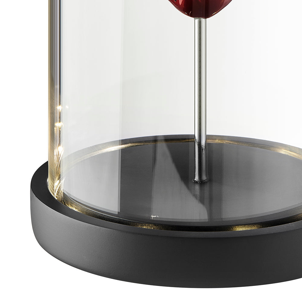 Heart a Box Resin and Glass LED Sculpture by Finesse Decor HR-BX-MR