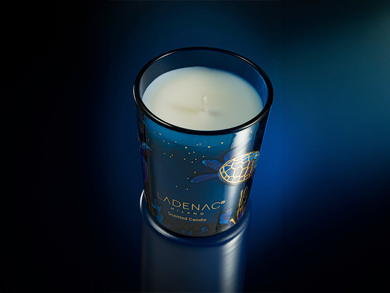 Ladenac Milano Colapesce advent calendar, lit votive glowing blue