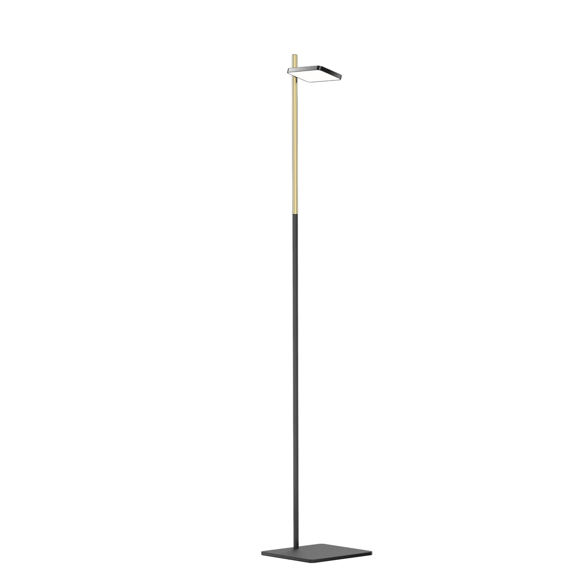 Pablo Talia LED Floor Lamp in Black with Brass Post