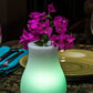 Smart and Green Olio Bluetooth Cordless LED Lamp