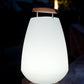 Smart and Green Vessel Bluetooth Cordless LED Lamp