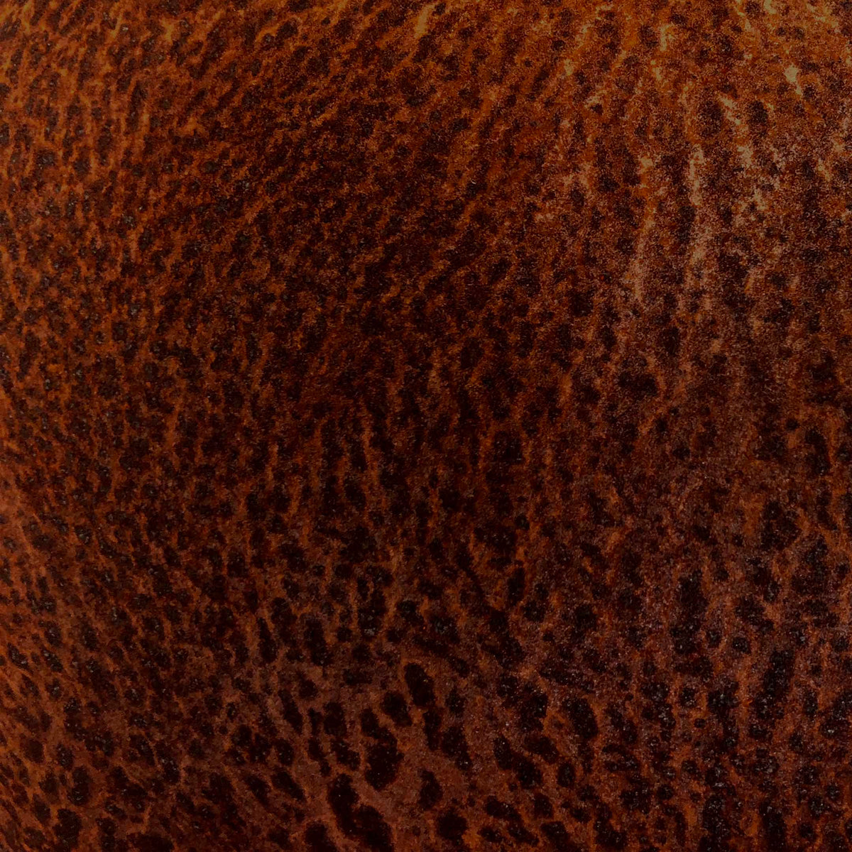 Mammalampa The Queen – close-up of the naturally rusted steel exterior