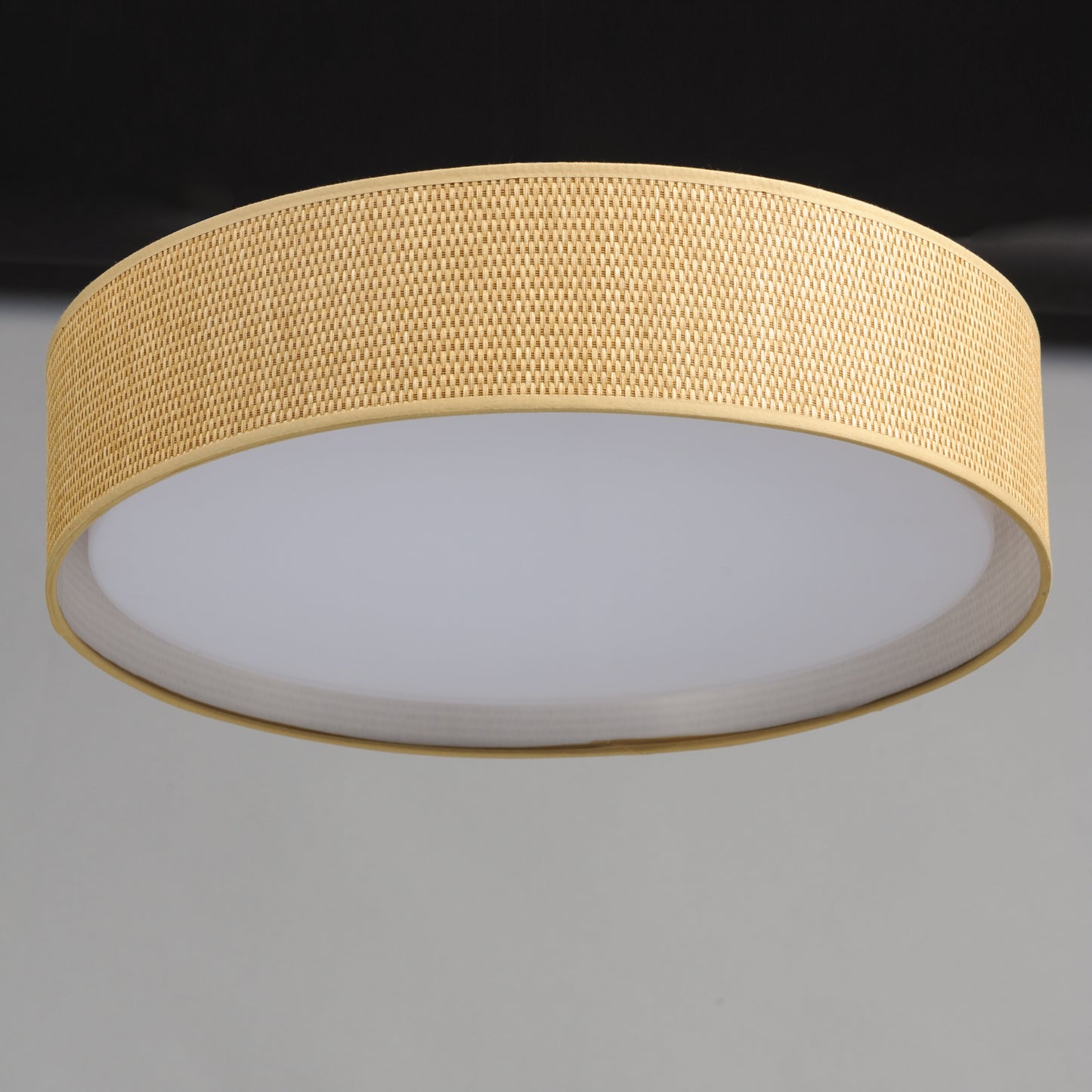 Prime 20" LED Flush Mount by Maxim Lighting