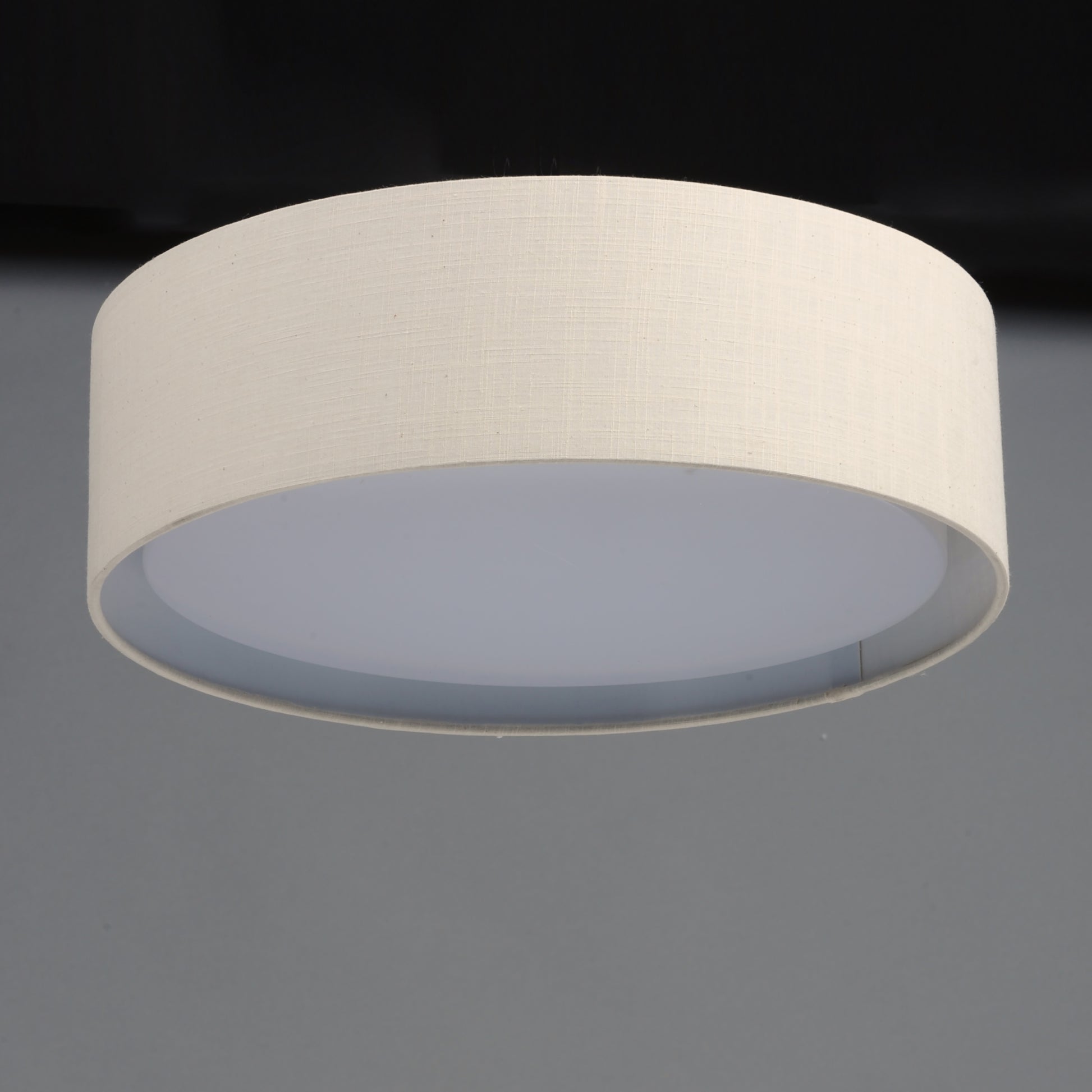 Prime 20" LED Flush Mount by Maxim Lighting