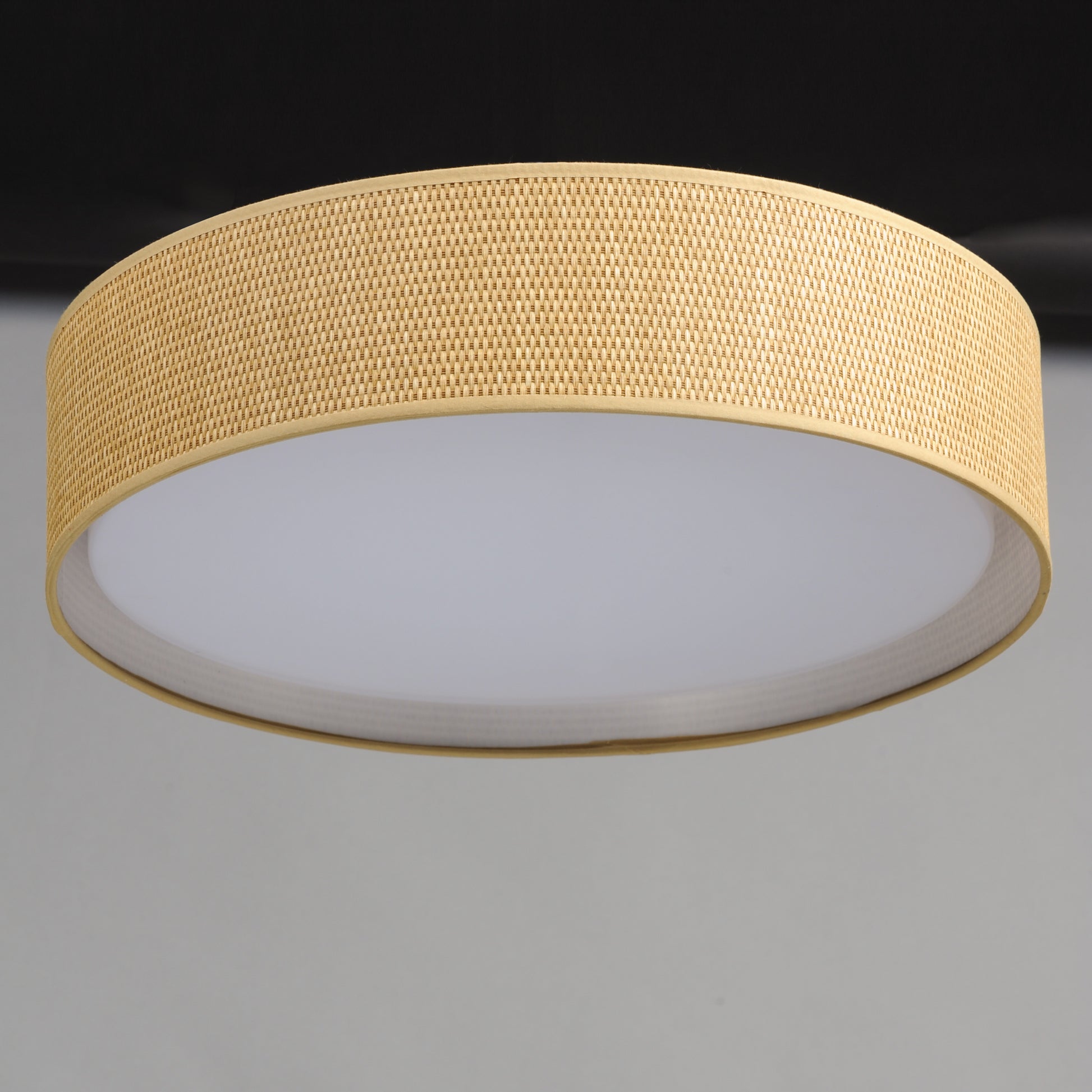Prime 20" LED Flush Mount 120-277V by Maxim Lighting