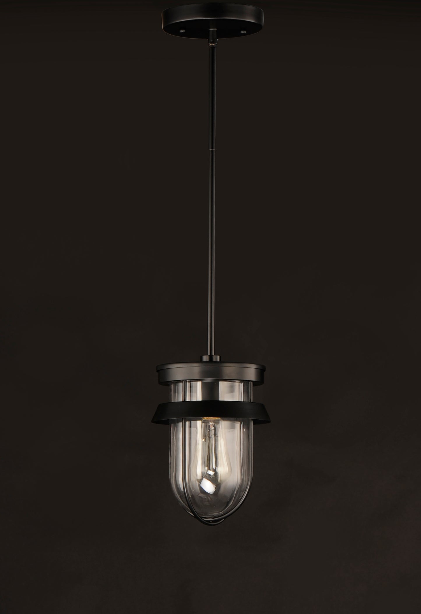Breakwater Outdoor Pendant/Semi-Flush Black by Maxim Lighting