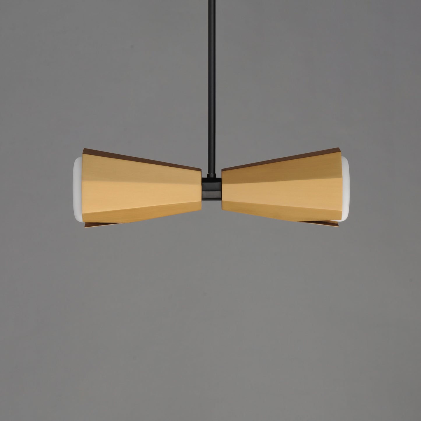 Rizzo 2-Light Pendant Black/Antique Brass by Maxim Lighting