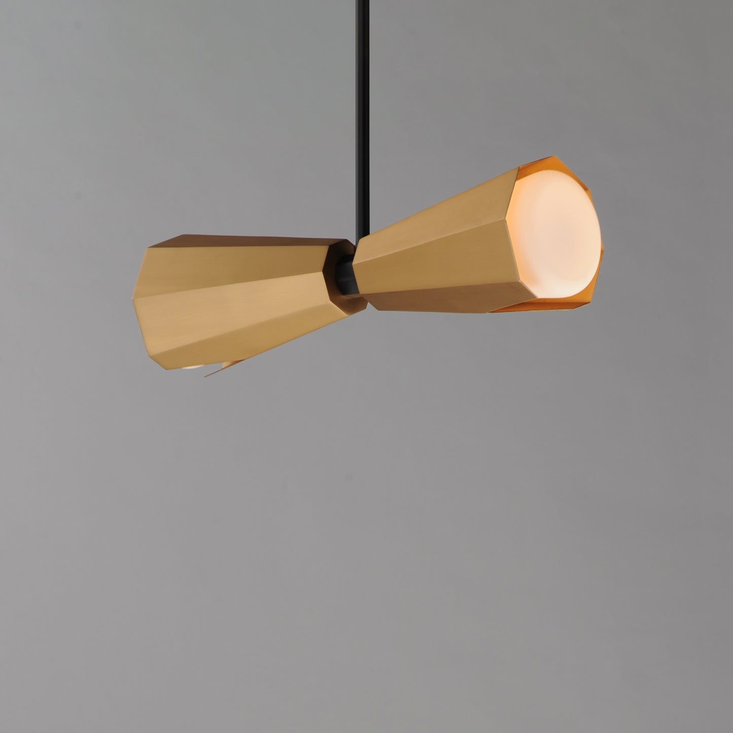 Rizzo 2-Light Pendant Black/Antique Brass by Maxim Lighting