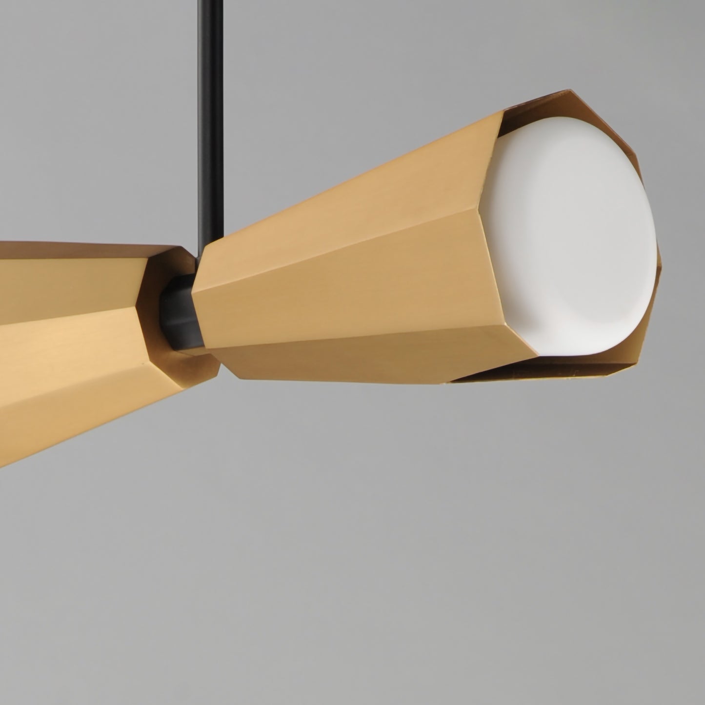 Rizzo 2-Light Pendant Black/Antique Brass by Maxim Lighting