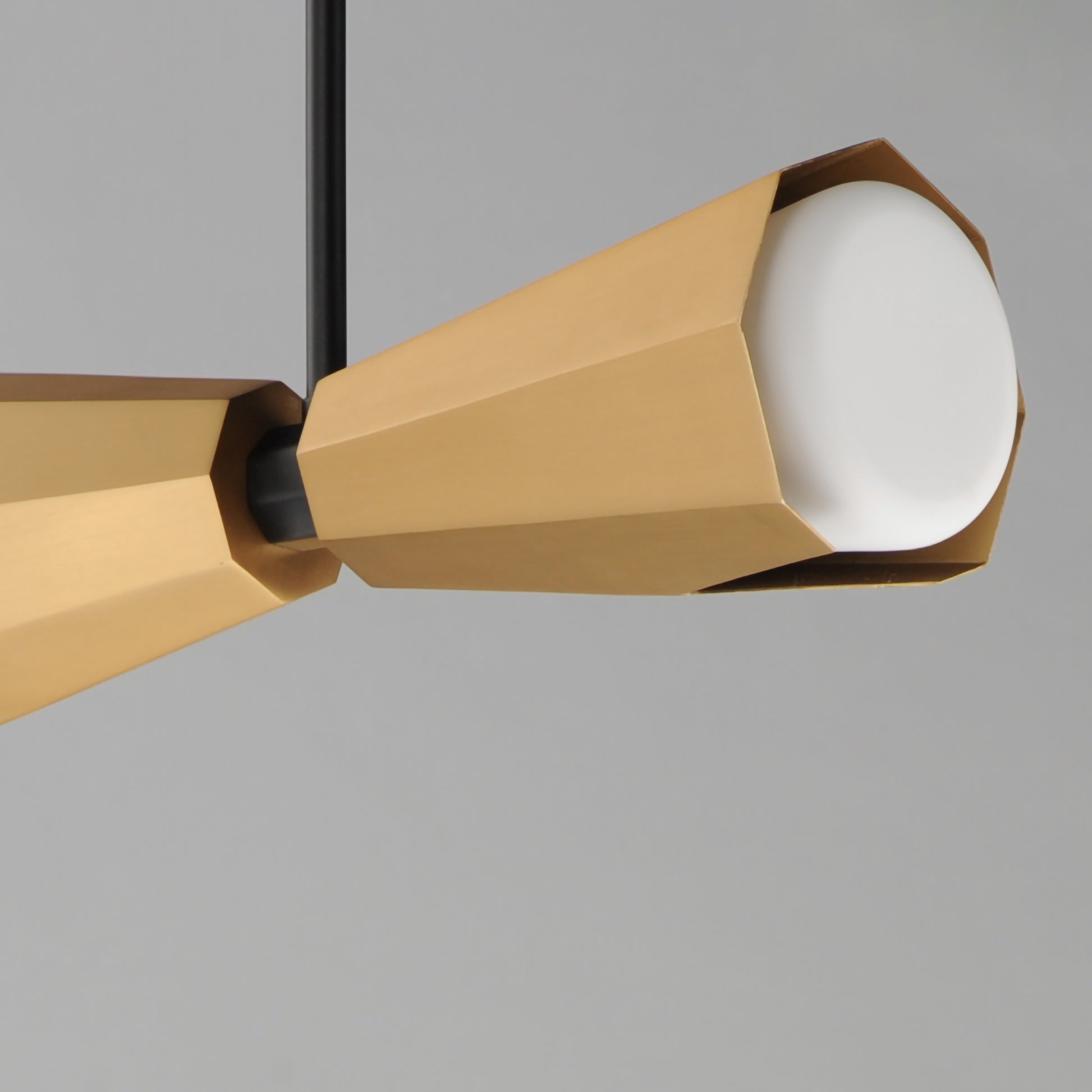Rizzo 2-Light Pendant Black/Antique Brass by Maxim Lighting