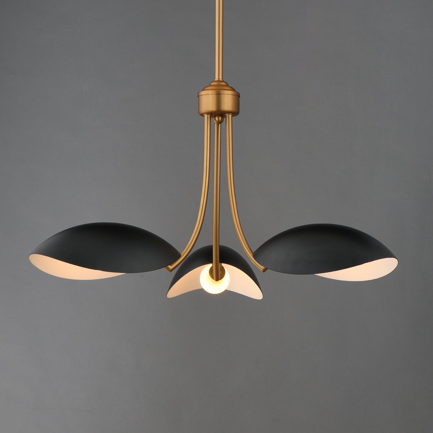 Maris 3-Light Pendant Black/Natural Aged Brass by Maxim Lighting