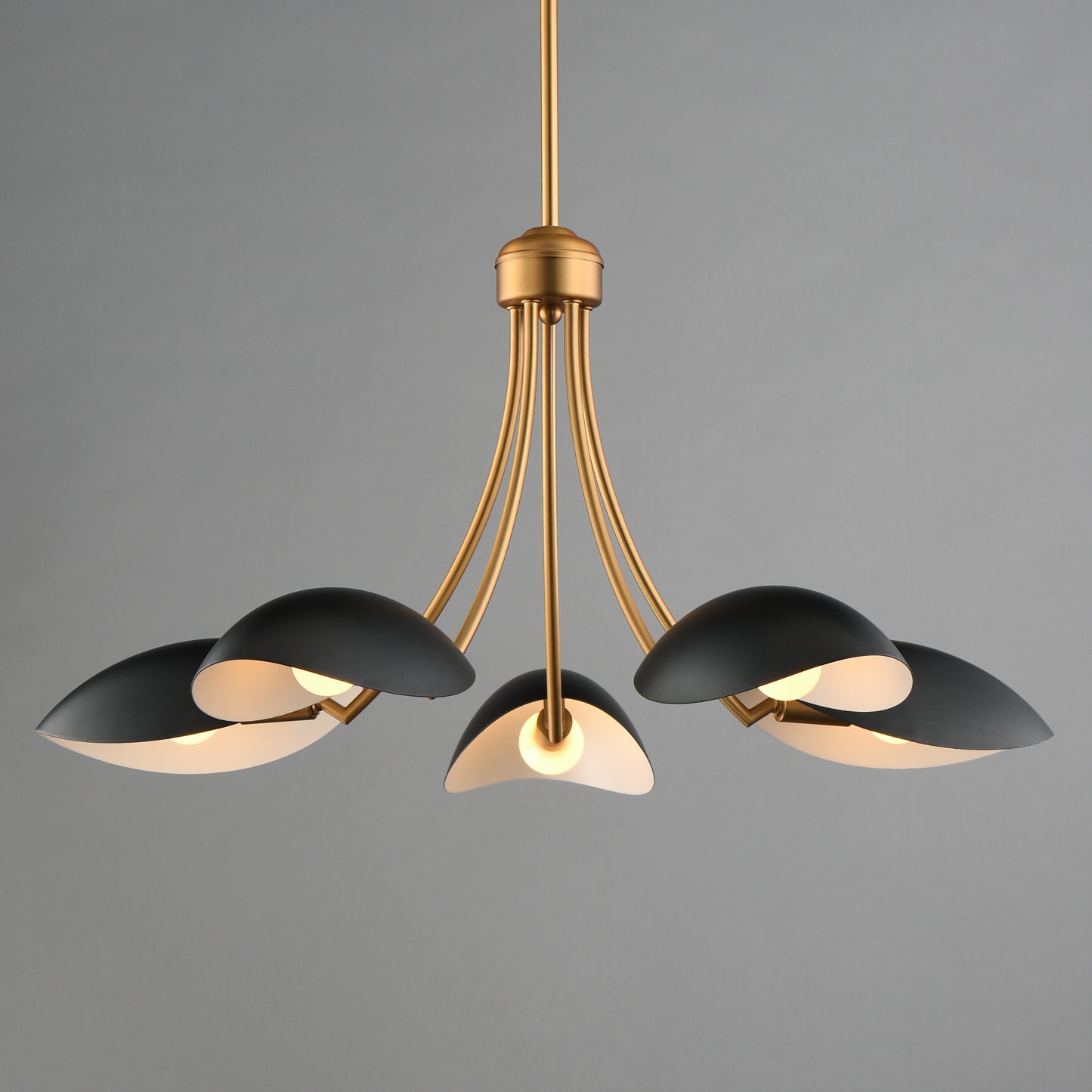 Maris 5-Light Chandelier Black/Natural Aged Brass by Maxim Lighting