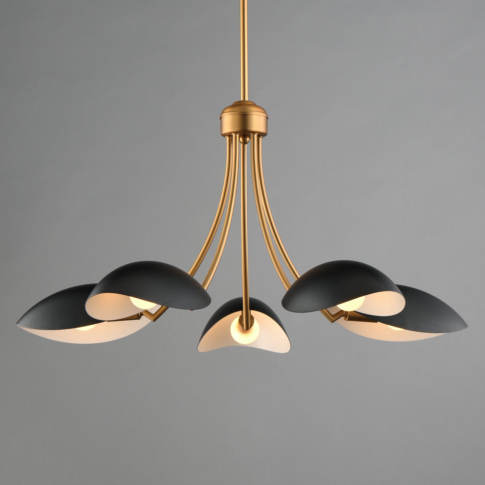 Maris 5-Light Chandelier Black/Natural Aged Brass by Maxim Lighting