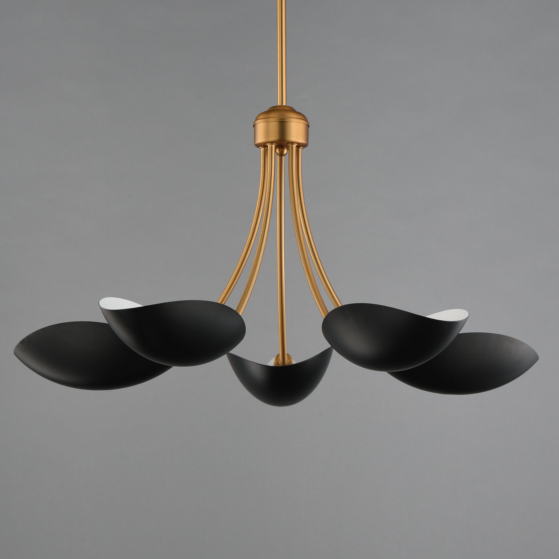 Maris 5-Light Chandelier Black/Natural Aged Brass by Maxim Lighting
