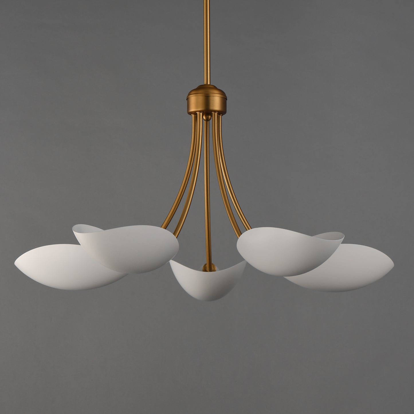 Maris 5-Light Chandelier White/Natural Aged Brass by Maxim Lighting