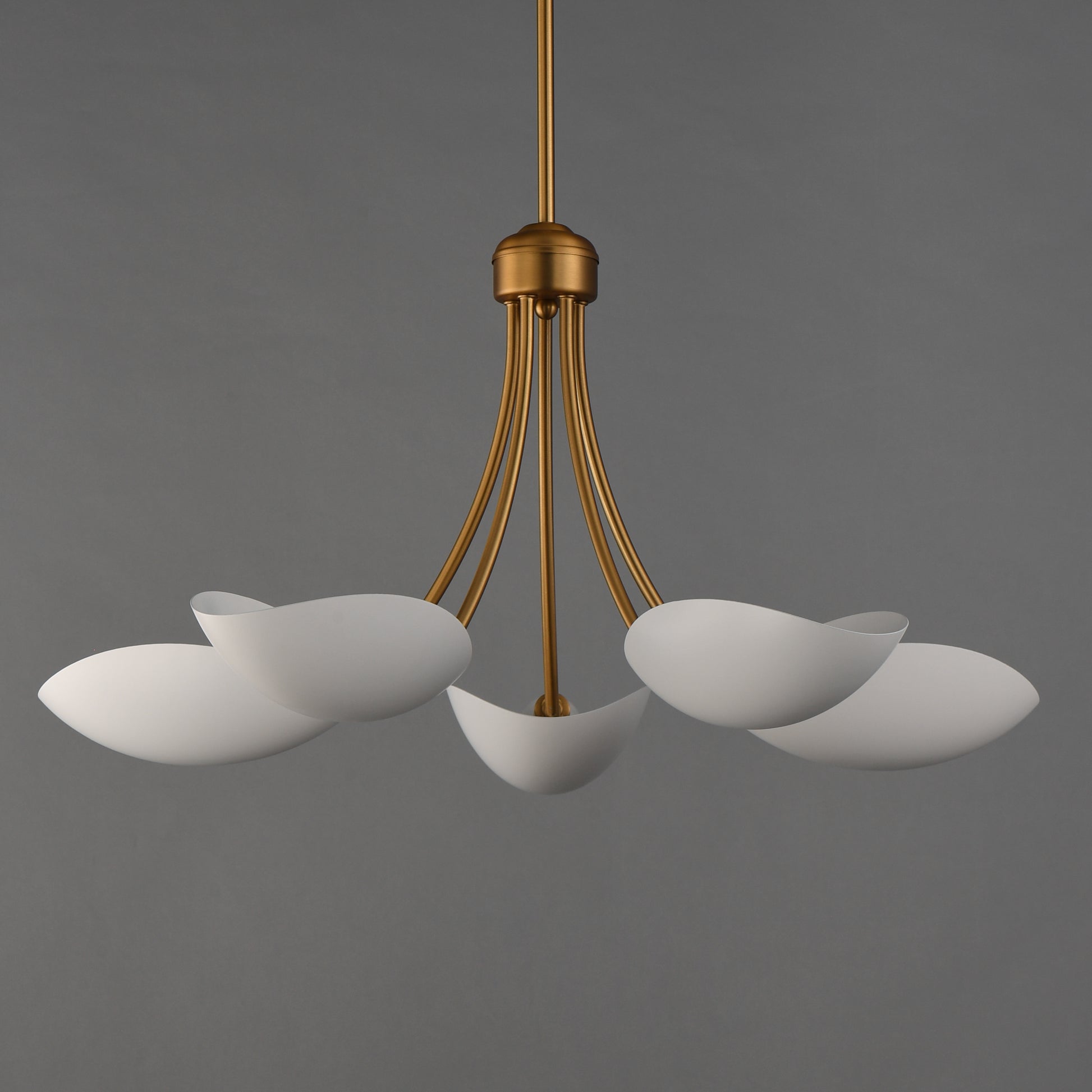 Maris 5-Light Chandelier White/Natural Aged Brass by Maxim Lighting