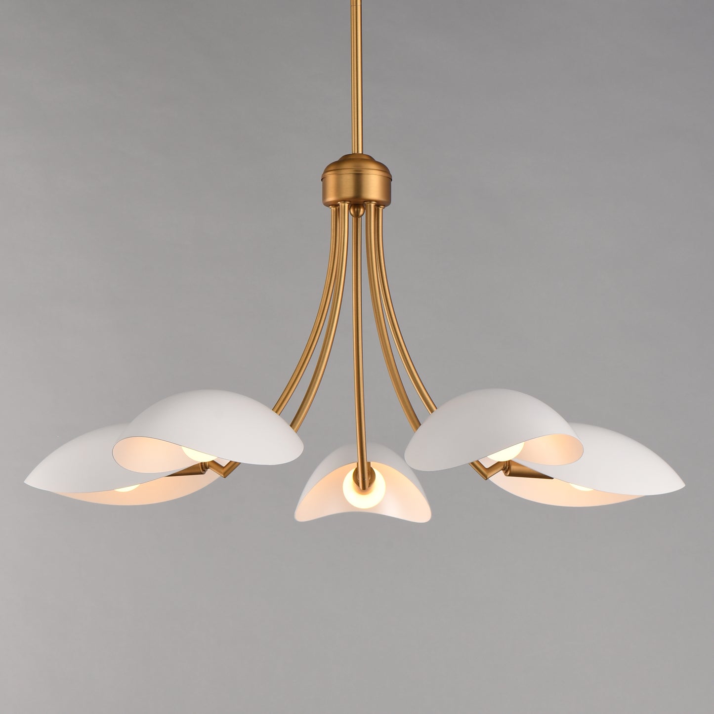 Maris 5-Light Chandelier White/Natural Aged Brass by Maxim Lighting