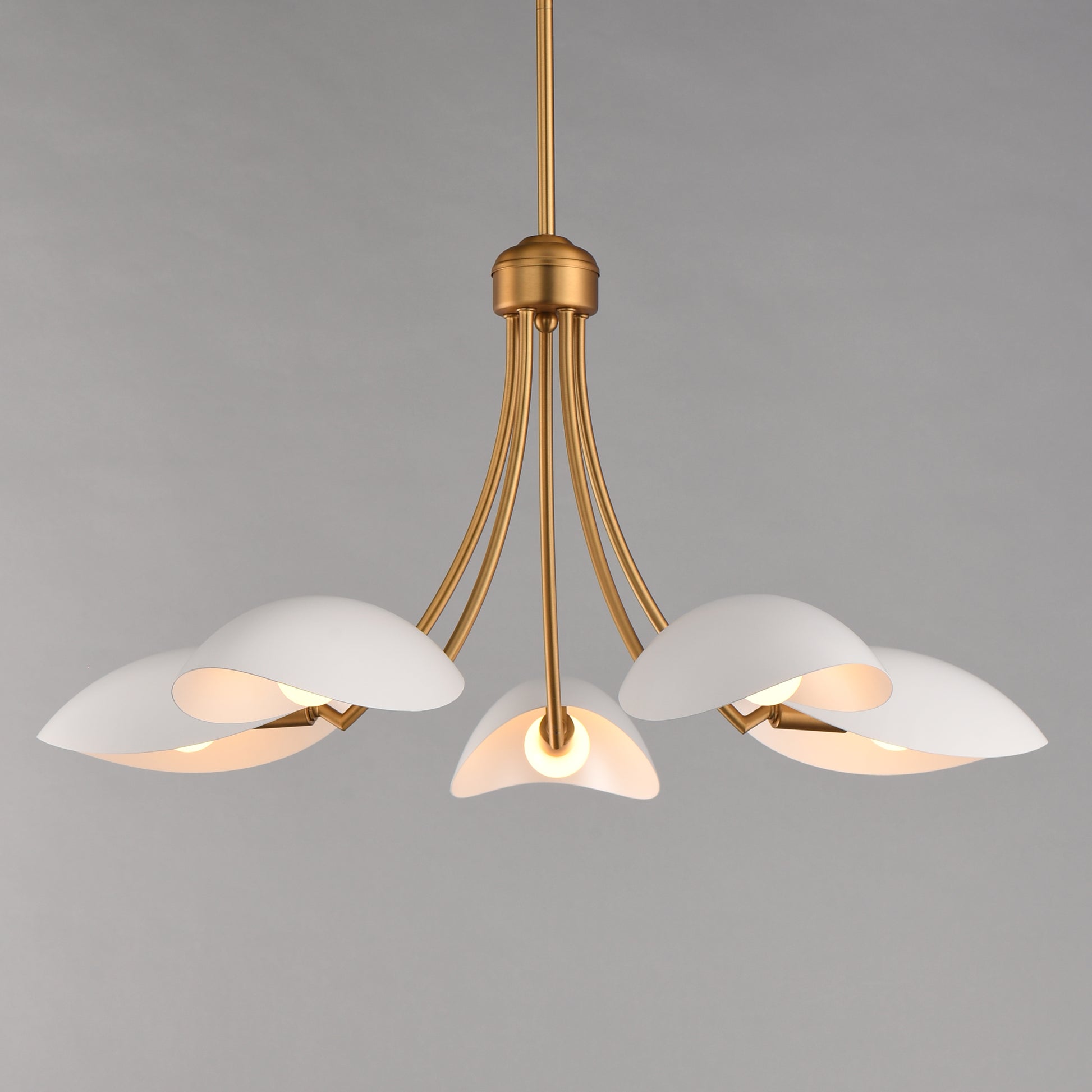 Maris 5-Light Chandelier White/Natural Aged Brass by Maxim Lighting