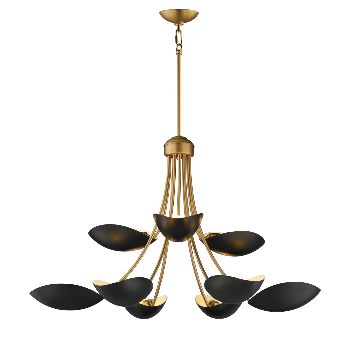 Maris 9-Light Chandelier Black/Natural Aged Brass by Maxim Lighting