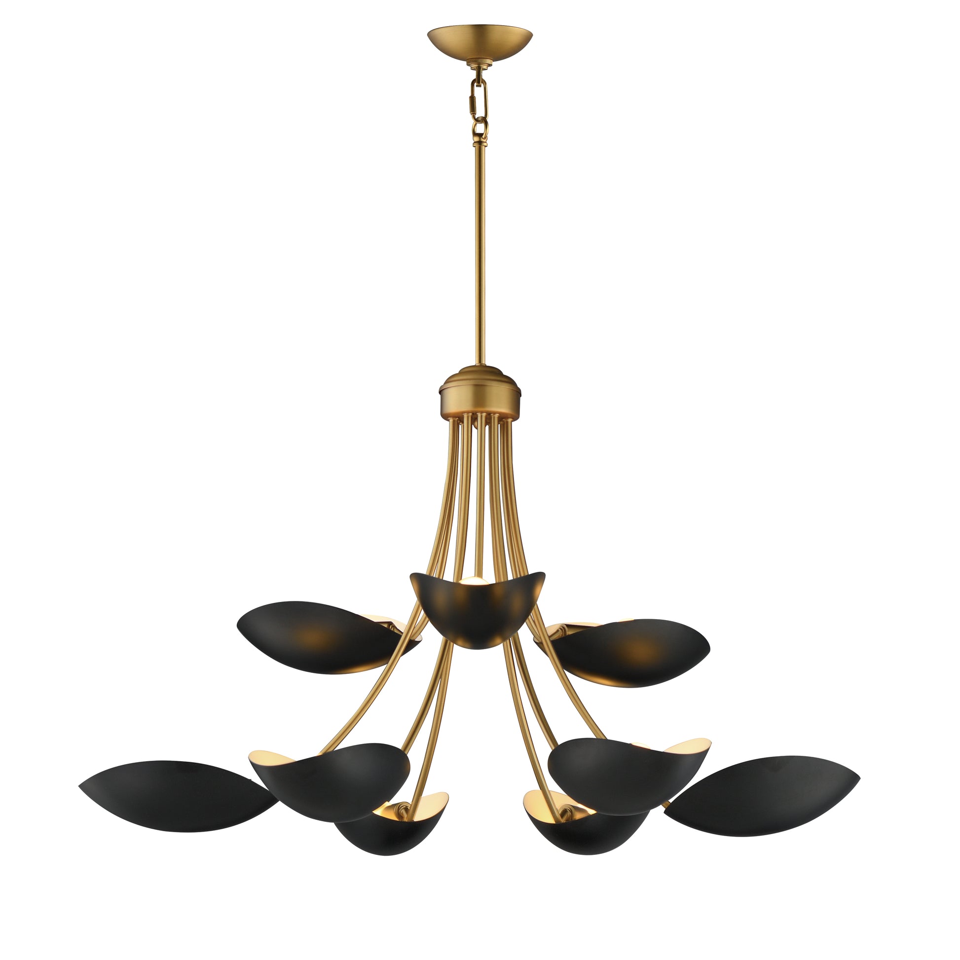Maris 9-Light Chandelier Black/Natural Aged Brass by Maxim Lighting