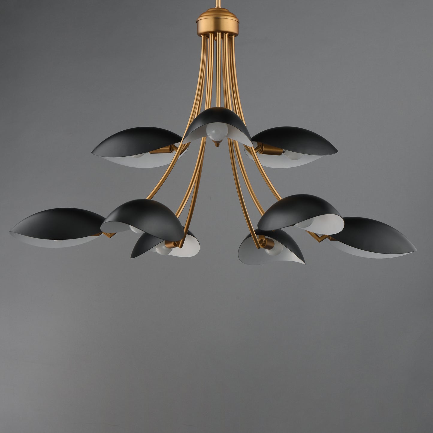Maris 9-Light Chandelier Black/Natural Aged Brass by Maxim Lighting