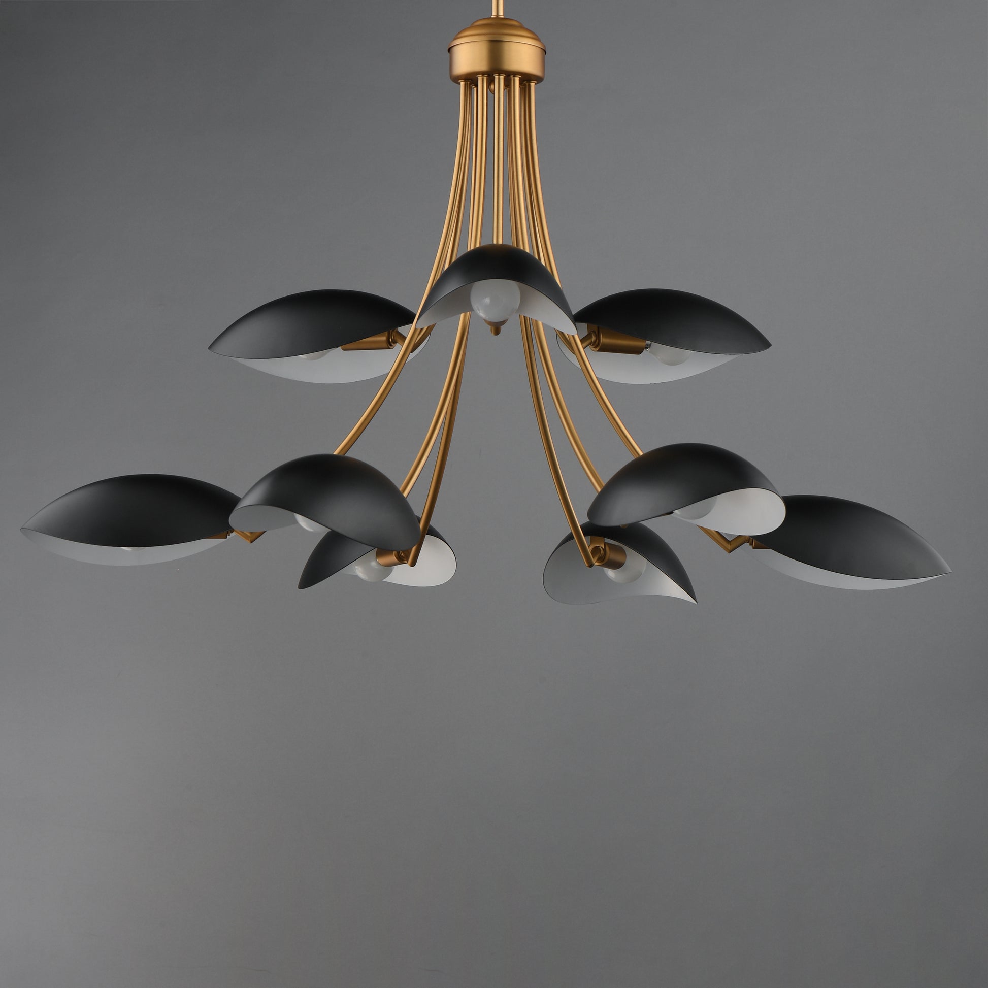 Maris 9-Light Chandelier Black/Natural Aged Brass by Maxim Lighting