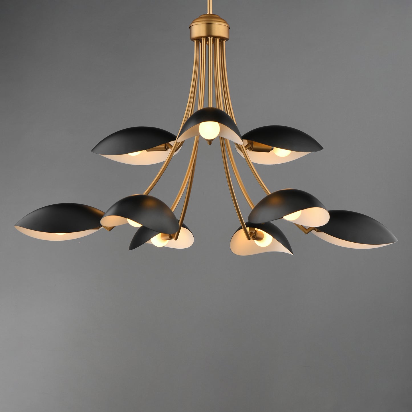 Maris 9-Light Chandelier Black/Natural Aged Brass by Maxim Lighting