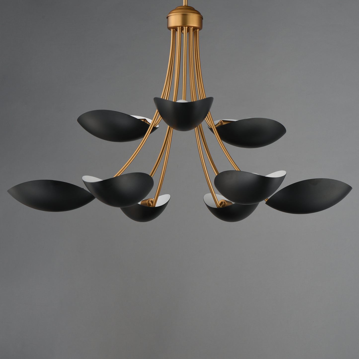 Maris 9-Light Chandelier Black/Natural Aged Brass by Maxim Lighting