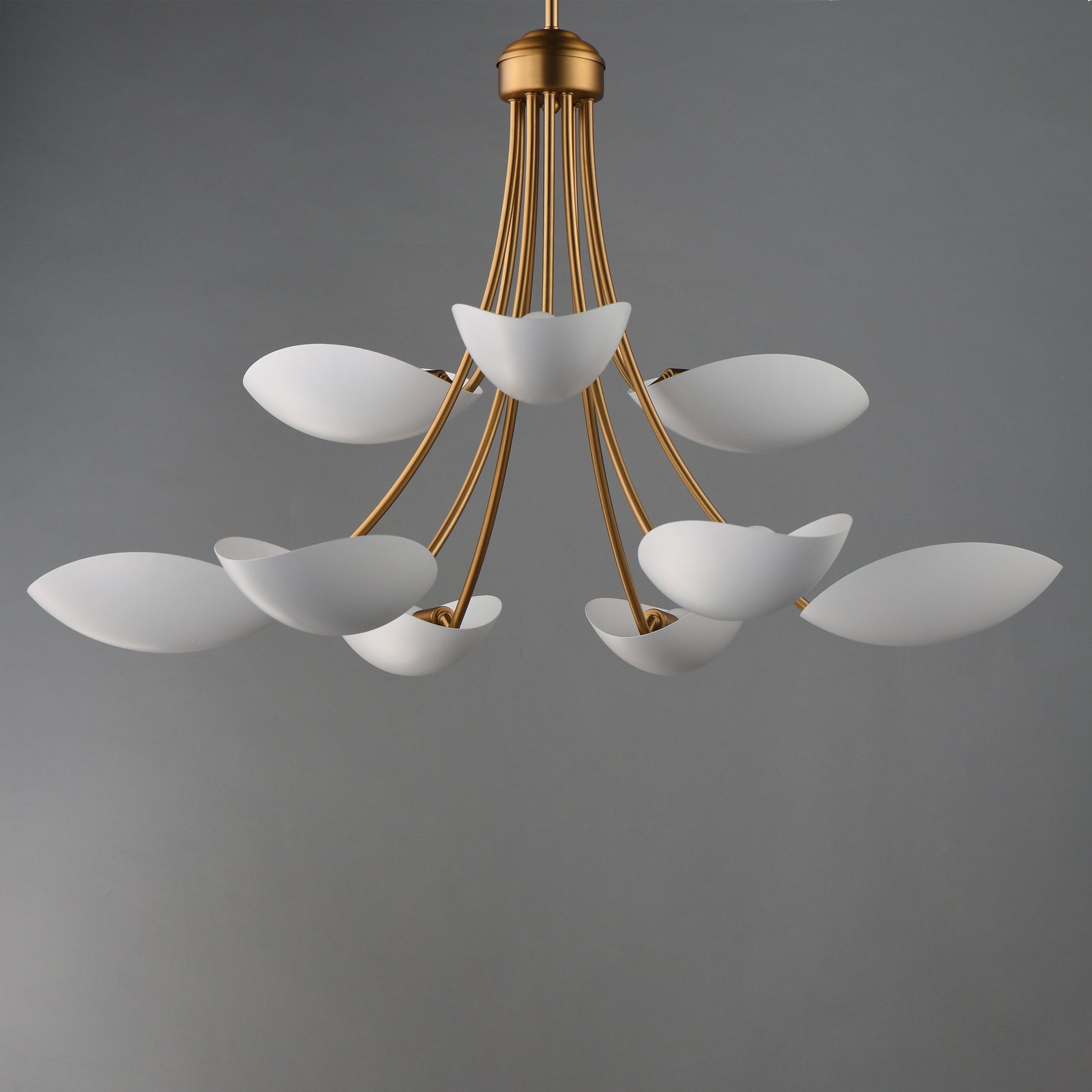 Maris 9-Light Chandelier White/Natural Aged Brass by Maxim Lighting