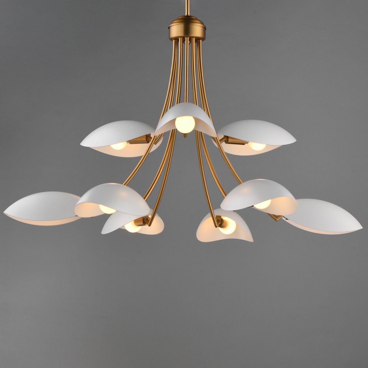 Maris 9-Light Chandelier White/Natural Aged Brass by Maxim Lighting