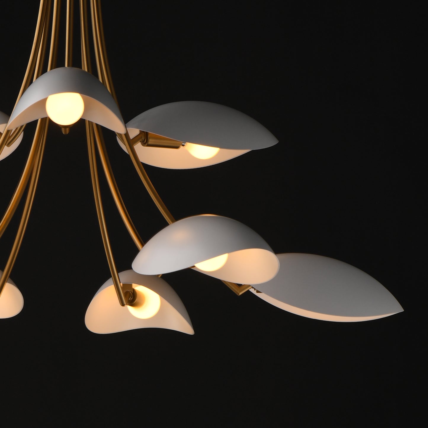 Maris 9-Light Chandelier White/Natural Aged Brass by Maxim Lighting