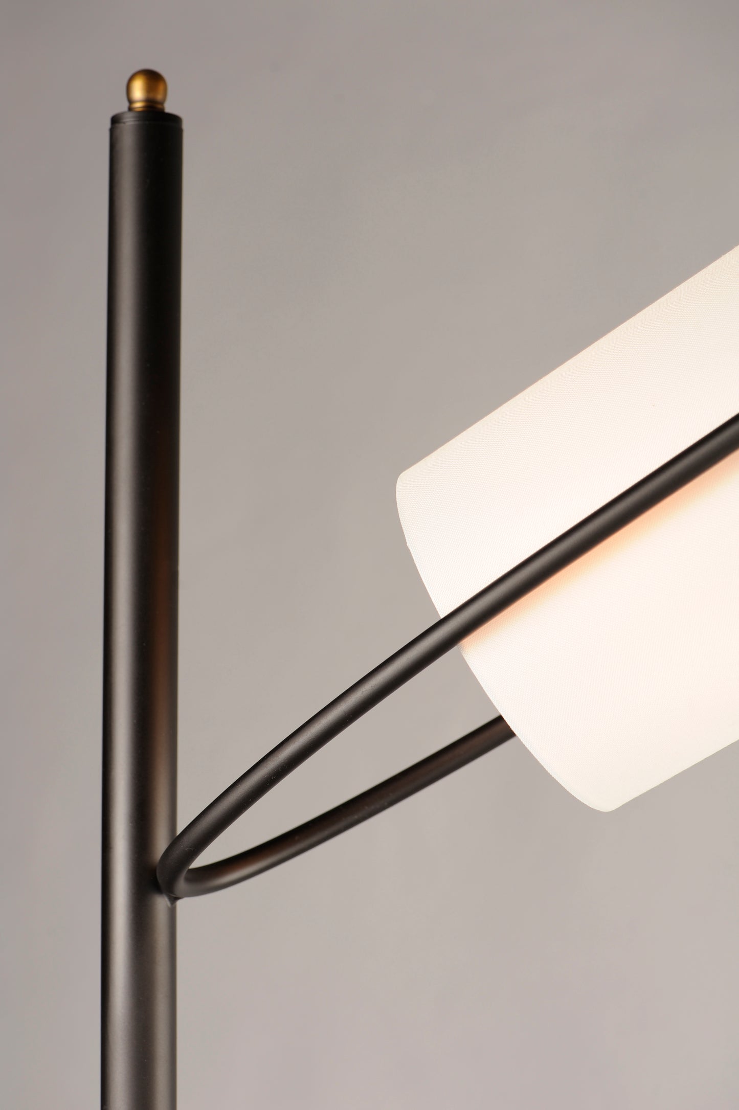 Oscar 2-Light Floor Lamp Bronze/Antique Brass by Maxim Lighting