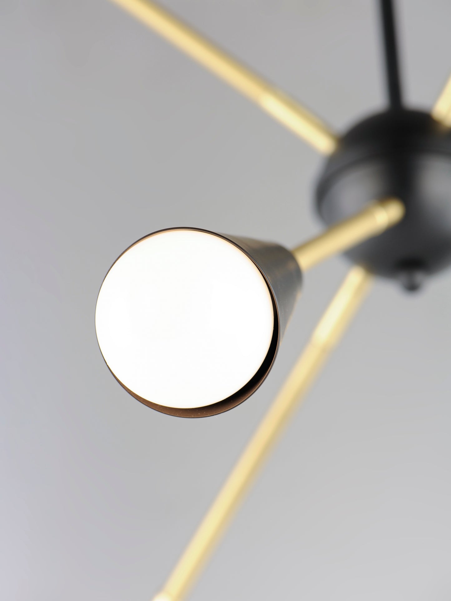 Lovell 6-Light Pendant Black/Satin Brass by Maxim Lighting