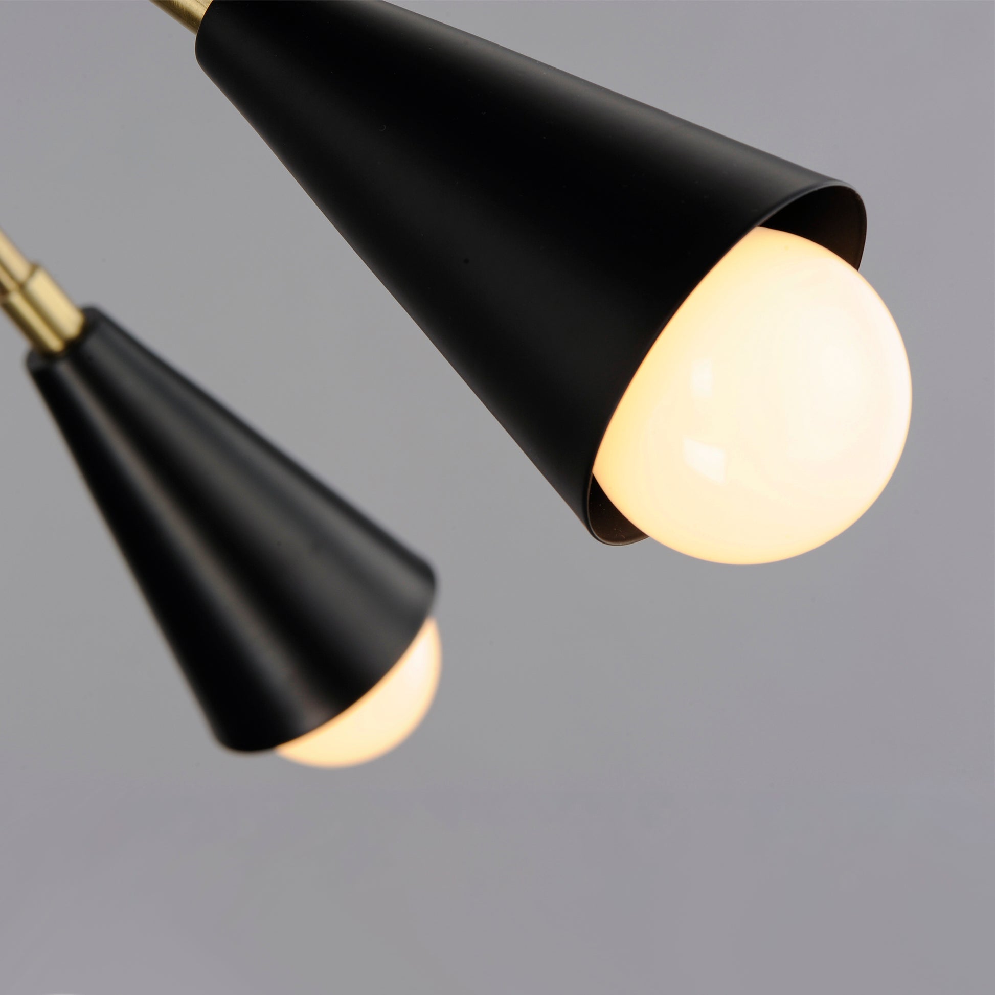 Lovell 10-Light Pendant Black/Satin Brass by Maxim Lighting