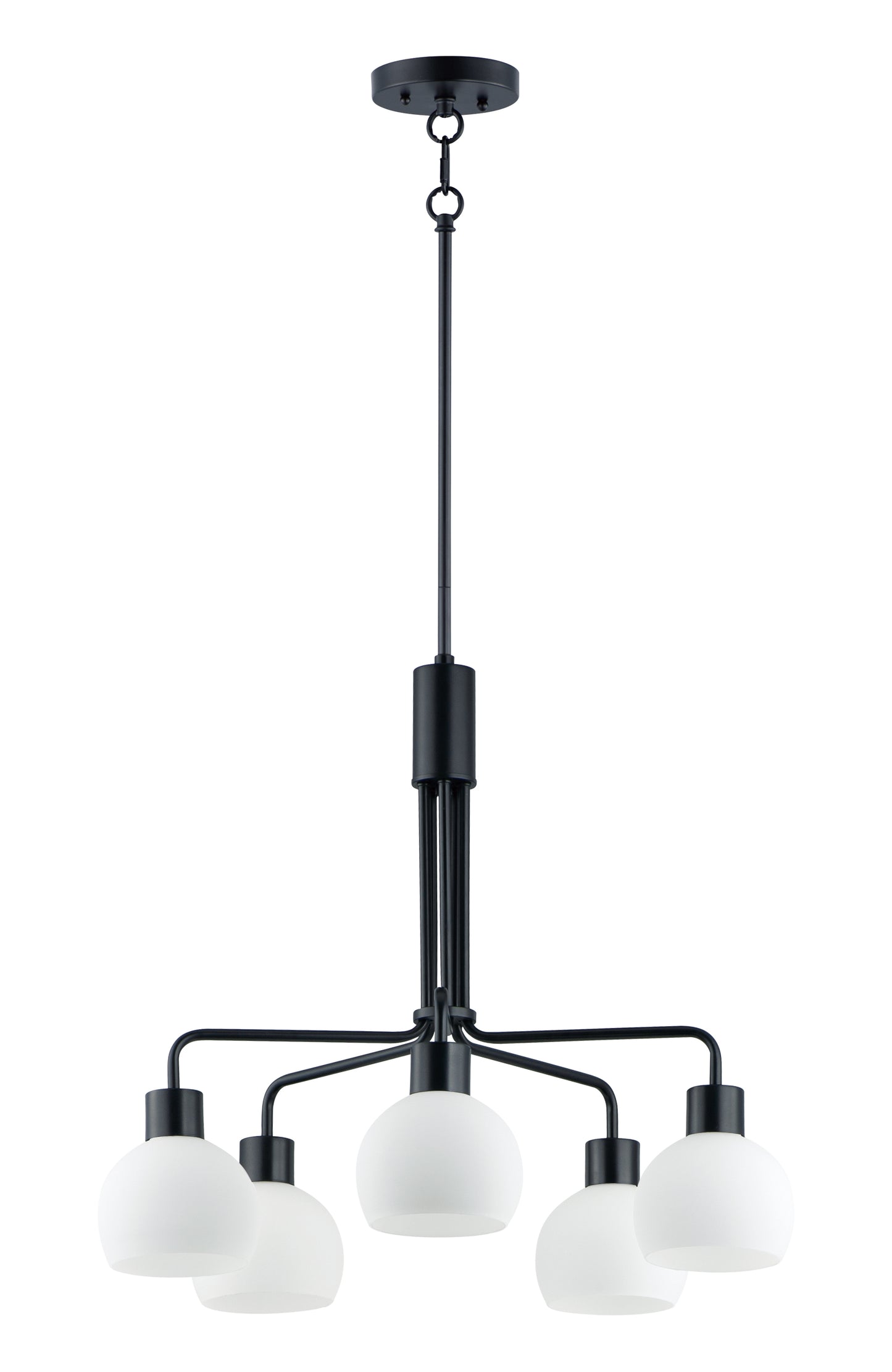 Coraline 5-Light Chandelier Black by Maxim Lighting