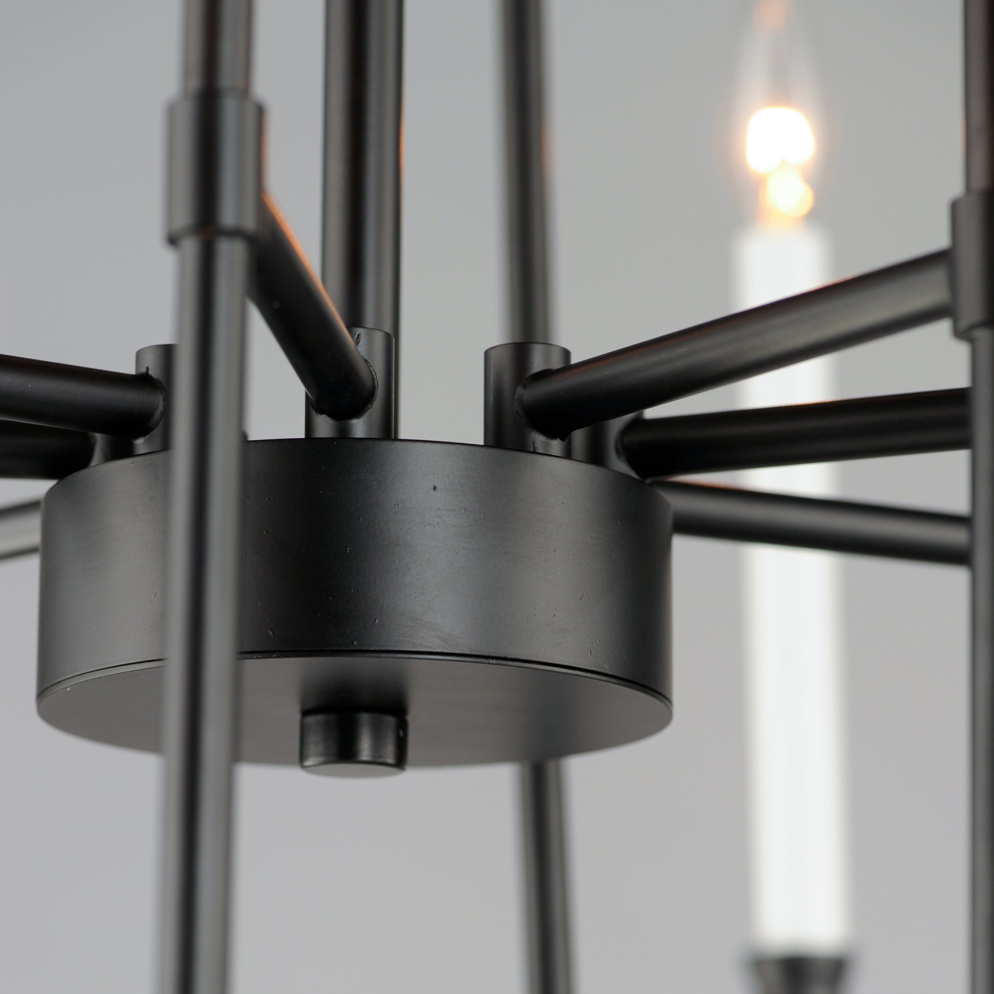 Tux 12-Light Chandelier Black by Maxim Lighting