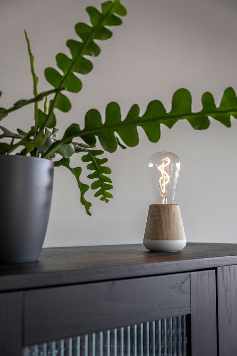 Humble One Cordless Table Lamp by Humble, Oak (image 31)