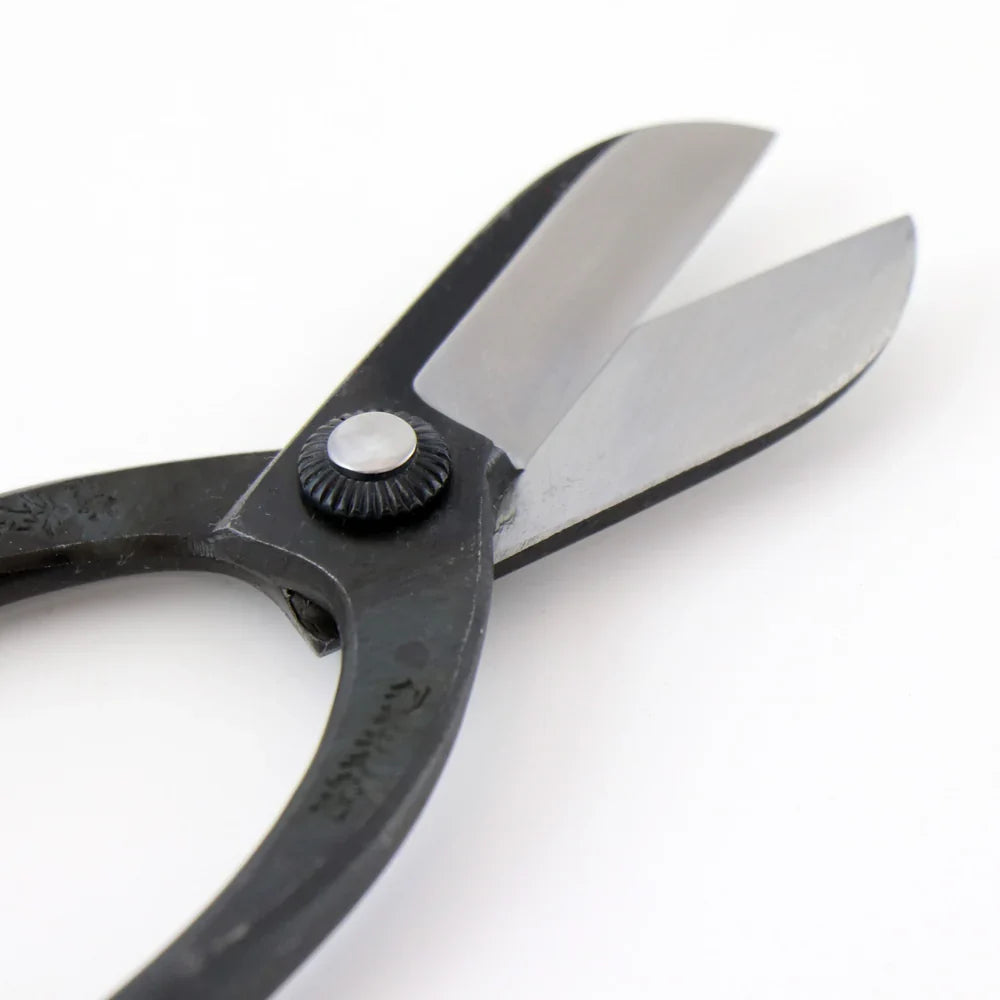 Toyama Hamono T8 Warabi floral shears, forged carbon steel (photo 6)