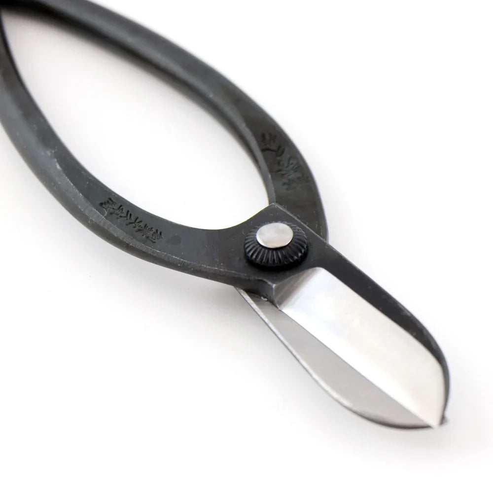 Toyama Hamono T8 Warabi floral shears, forged carbon steel (photo 4)