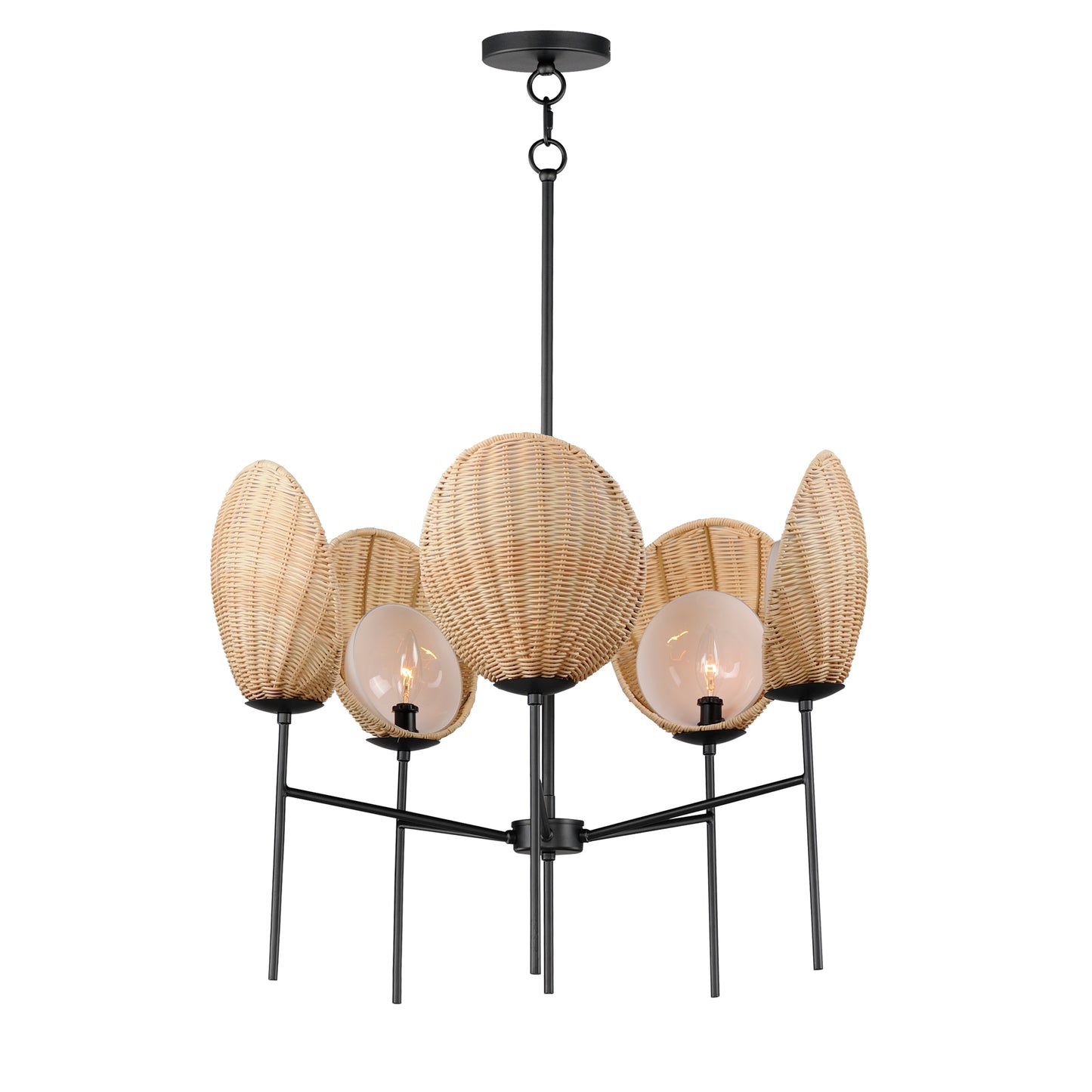Maldives 5-Light Chandelier Black by Maxim Lighting