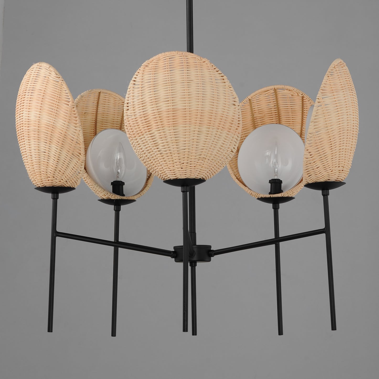 Maldives 5-Light Chandelier Black by Maxim Lighting