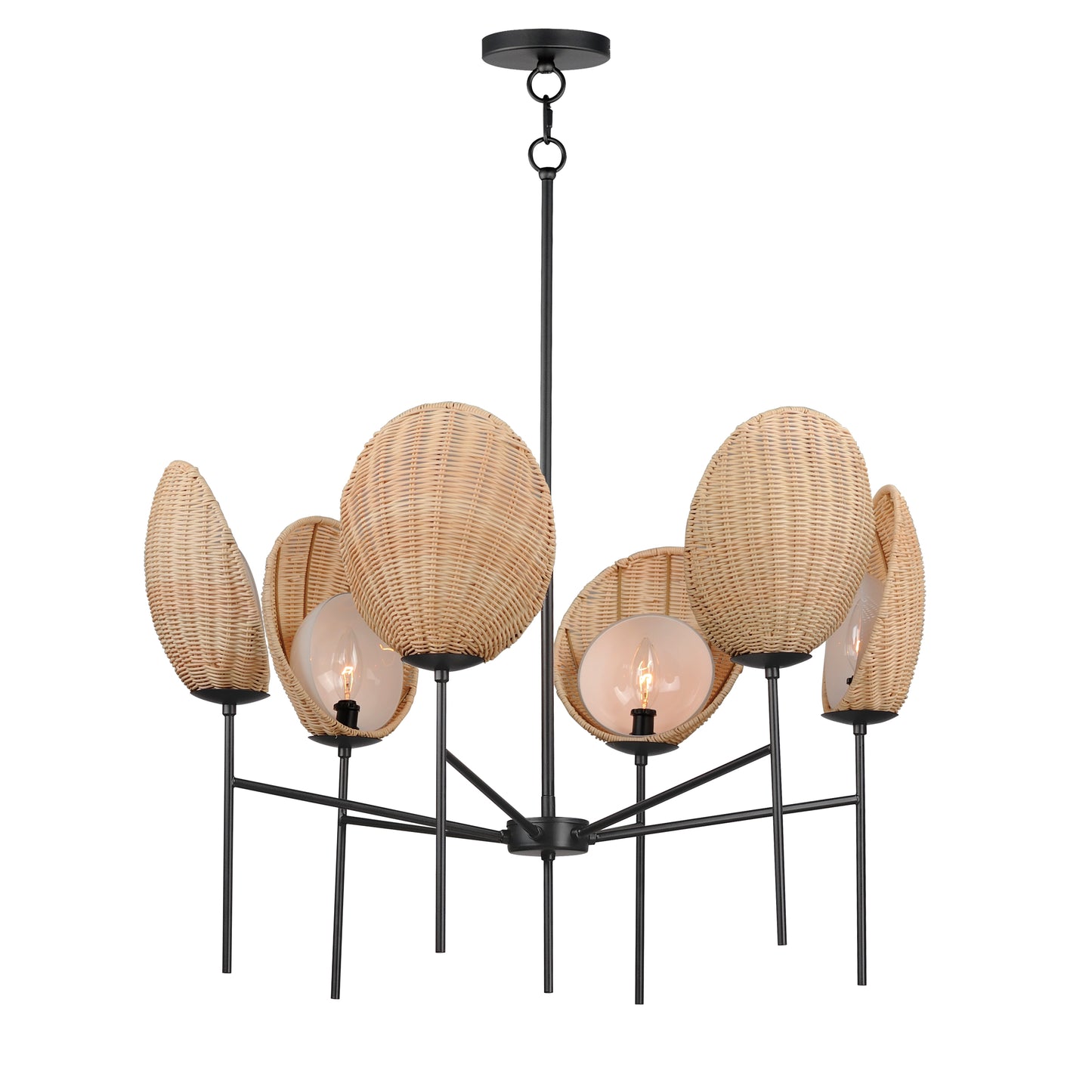 Maldives 6-Light Chandelier Black by Maxim Lighting