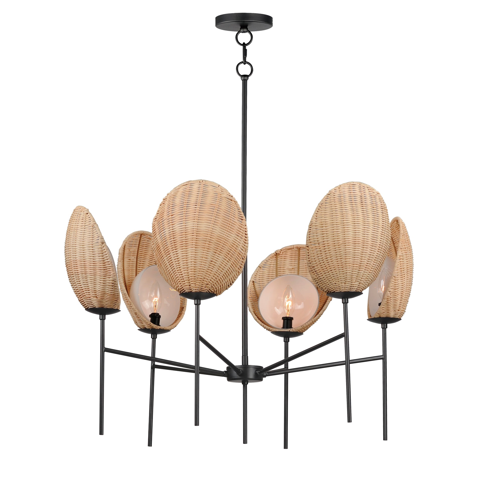 Maldives 6-Light Chandelier Black by Maxim Lighting